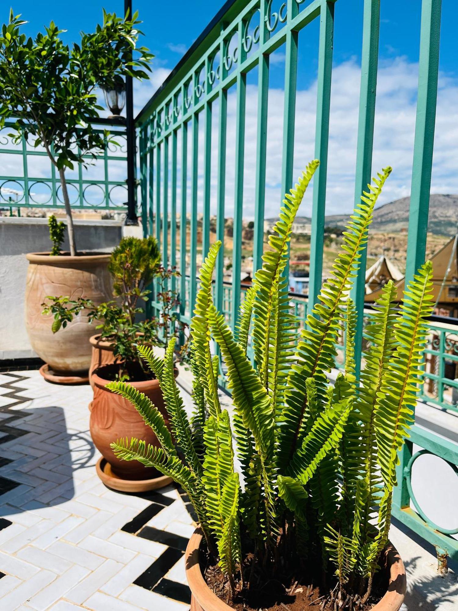 Riad Fes Miracle Dış mekan fotoğraf